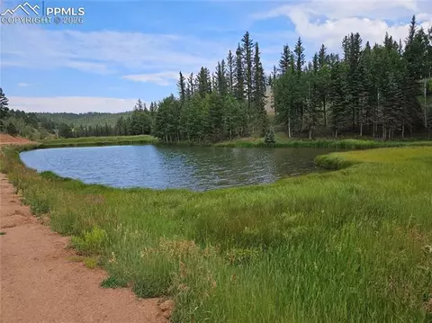 702 Lake Dr, Divide, CO 80814 photo 5