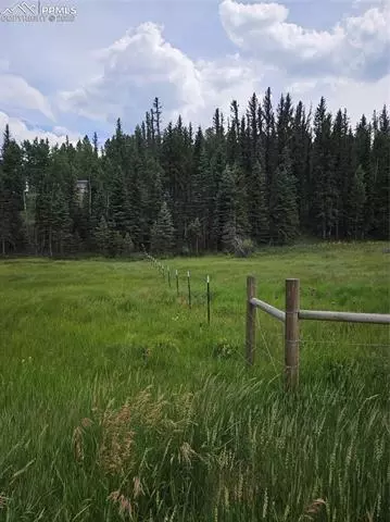 702 Lake Dr, Divide, CO 80814 photo 8