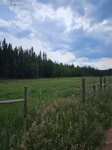 702 Lake Dr, Divide, CO 80814 photo 7