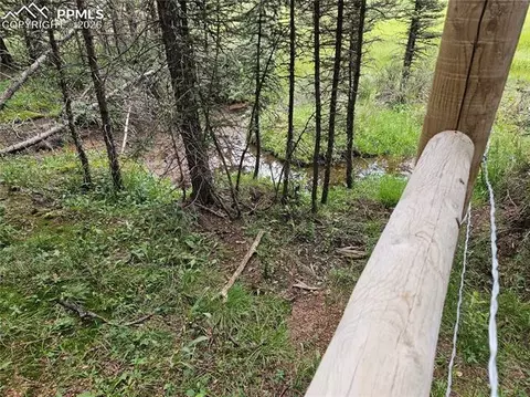 702 Lake Dr, Divide, CO 80814 photo 27