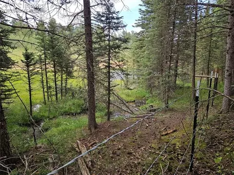 702 Lake Dr, Divide, CO 80814 photo 25