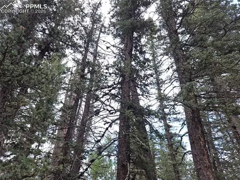 702 Lake Dr, Divide, CO 80814 photo 22