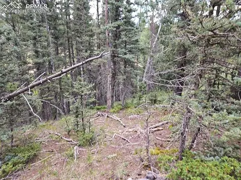 702 Lake Dr, Divide, CO 80814 photo 24