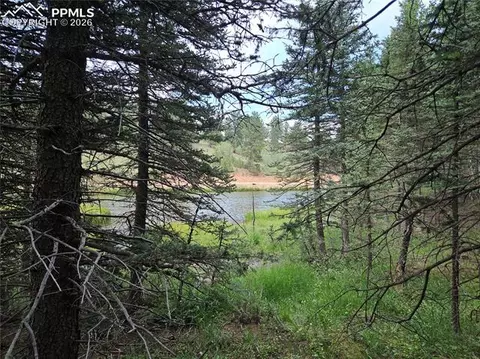 702 Lake Dr, Divide, CO 80814 photo 29