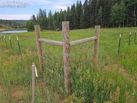 702 Lake Dr, Divide, CO 80814