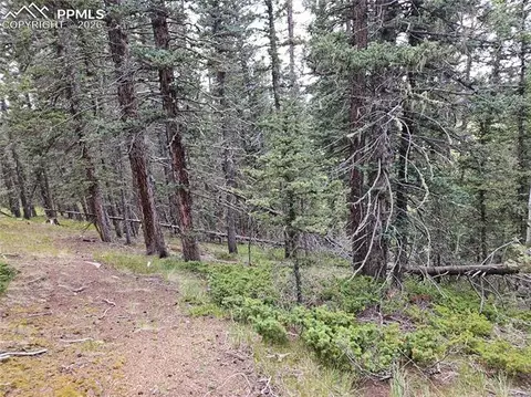 702 Lake Dr, Divide, CO 80814 photo 23