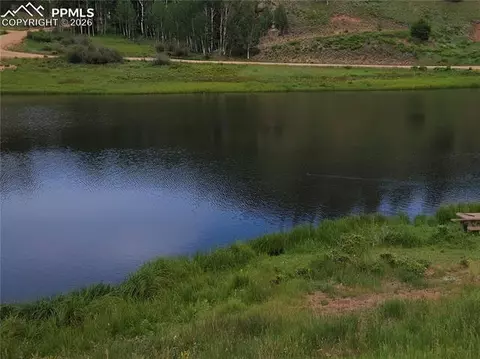 702 Lake Dr, Divide, CO 80814 photo 45