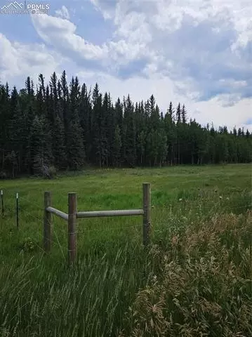 702 Lake Dr, Divide, CO 80814 photo 6