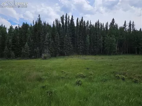 702 Lake Dr, Divide, CO 80814 photo 4