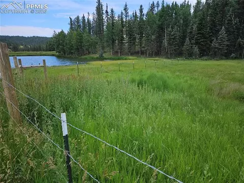702 Lake Dr, Divide, CO 80814 photo 3