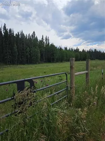 702 Lake Dr, Divide, CO 80814 photo 10
