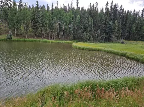 702 Lake Dr, Divide, CO 80814 photo 9