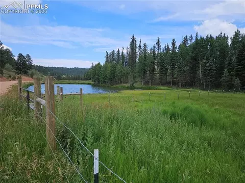 702 Lake Dr, Divide, CO 80814 photo 2