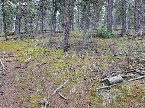 702 Lake Dr, Divide, CO 80814 photo 21
