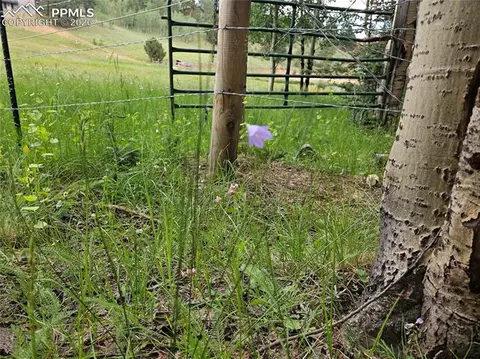 702 Lake Dr, Divide, CO 80814 photo 20