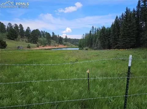 702 Lake Dr, Divide, CO 80814 photo 14