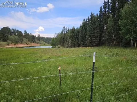 702 Lake Dr, Divide, CO 80814 photo 13