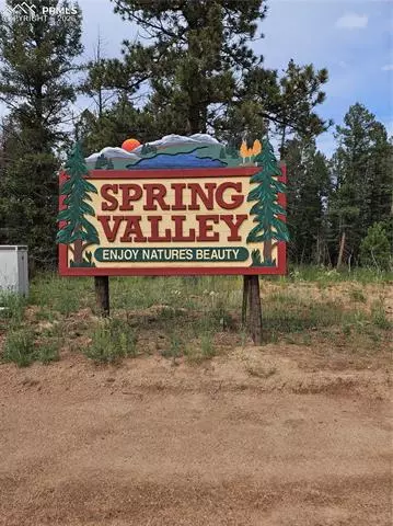 702 Lake Dr, Divide, CO 80814 photo 46