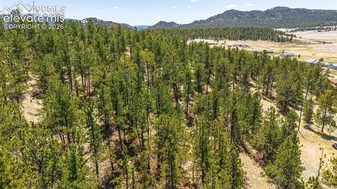 56 Dallas Park Cir, Florissant, CO 80816