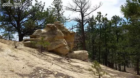 744 Forest View Way, Monument, CO 80132 photo 2