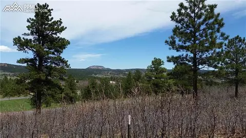 744 Forest View Way, Monument, CO 80132 photo 3