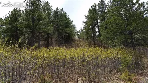 744 Forest View Way, Monument, CO 80132 photo 4