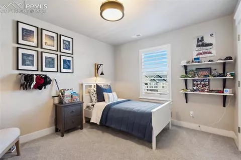 15524 Native Willow Dr, Monument, CO 80132 photo 22