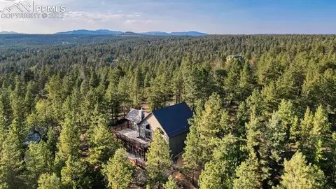 310 Spring Creek Dr, Divide, CO 80814 photo 4