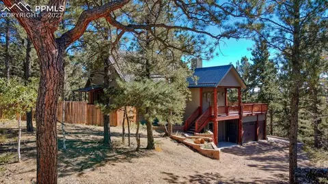 310 Spring Creek Dr, Divide, CO 80814 photo 1