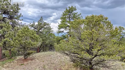 44 Honeysuckle Ter, Westcliffe, CO 81252