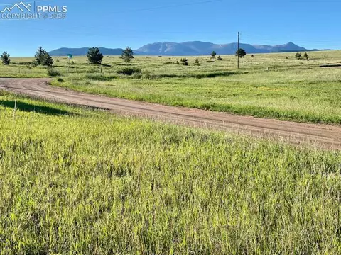 90 Golden Grain Ln, Divide, CO 80814