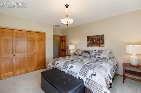 113 Matthew Rd, Divide, CO 80814 photo 27