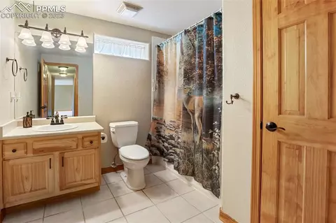 113 Matthew Rd, Divide, CO 80814 photo 29