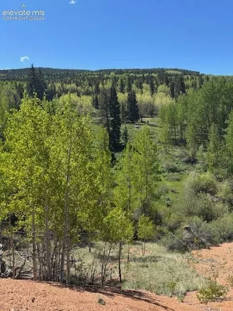 124 Yorktown Dr, Cripple Creek, CO 80813