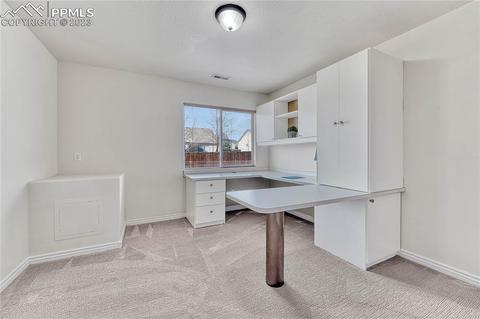 16946 Buffalo Valley Path, Monument, CO 80132 photo 36
