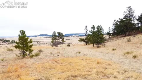 17850 Plains Edge Ct, Peyton, CO 80831 photo 8