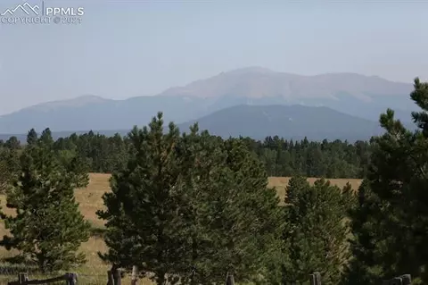 1821 County Road 512 Rd, Divide, CO 80814 photo 33