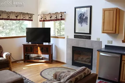 1821 County Road 512 Rd, Divide, CO 80814 photo 13