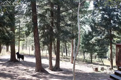 1821 County Road 512 Rd, Divide, CO 80814 photo 35