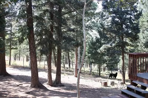 1821 County Road 512 Rd, Divide, CO 80814 photo 34