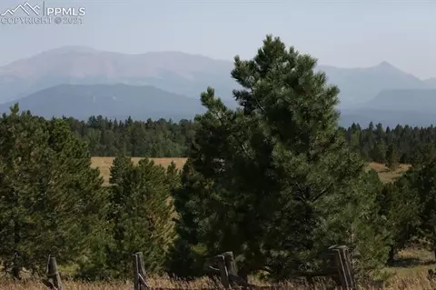 1821 County Road 512 Rd, Divide, CO 80814 photo 32