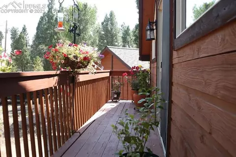 1821 County Road 512 Rd, Divide, CO 80814 photo 6