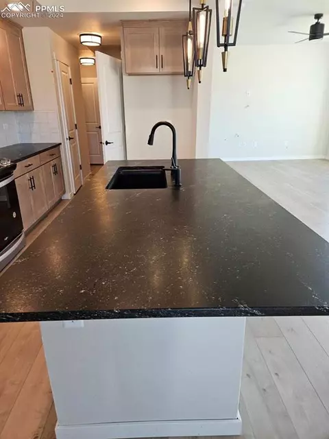 17647 Lemon Rye Loop, Monument, CO 80132 photo 6