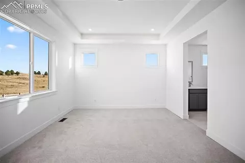 16879 Timbercrest Dr, Monument, CO 80132 photo 31