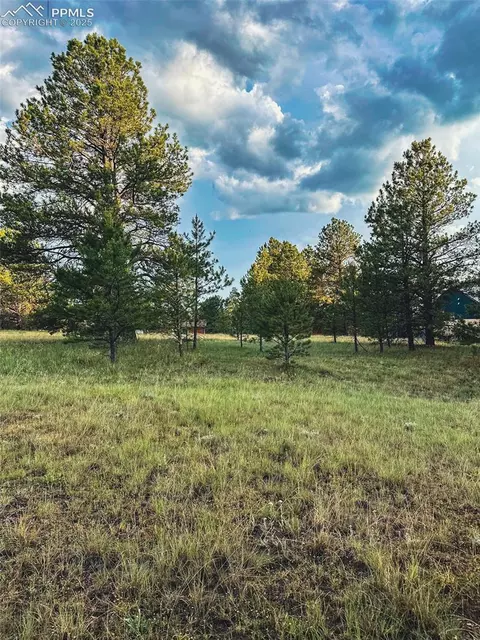 34 Quartz Cir, Florissant, CO 80816