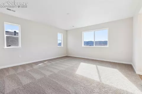 16924 Starfall Dr, Monument, CO 80132 photo 17