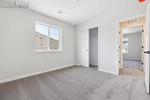 16924 Starfall Dr, Monument, CO 80132 photo 21