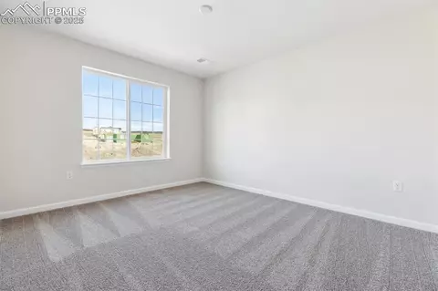 16924 Starfall Dr, Monument, CO 80132 photo 20