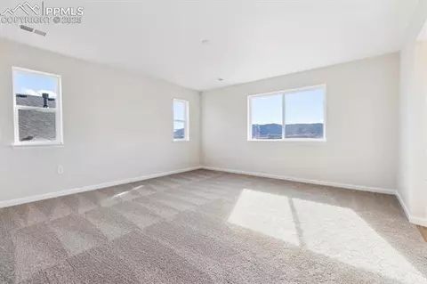 16924 Starfall Dr, Monument, CO 80132 photo 17