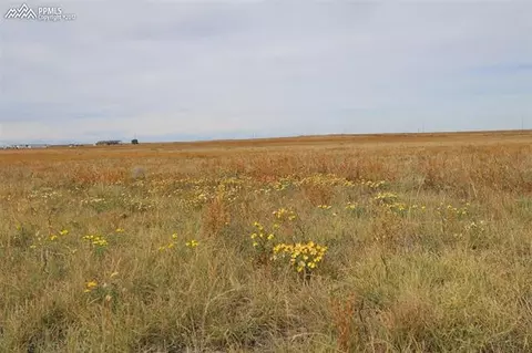 7850 S Rush Rd, Rush, CO 80833 photo 3